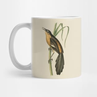 Babbling Thrush Vintage Bird Art - William Swainson Mug